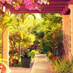 Königsbrunn Springbrunnen Solar 200 L/h LED Akku Basaltoptik -Gartendekorations Geschäft 10029040 yy 0004 ambient Blumfeldt Koenigsbrunn Solar Springbrunnen reedit