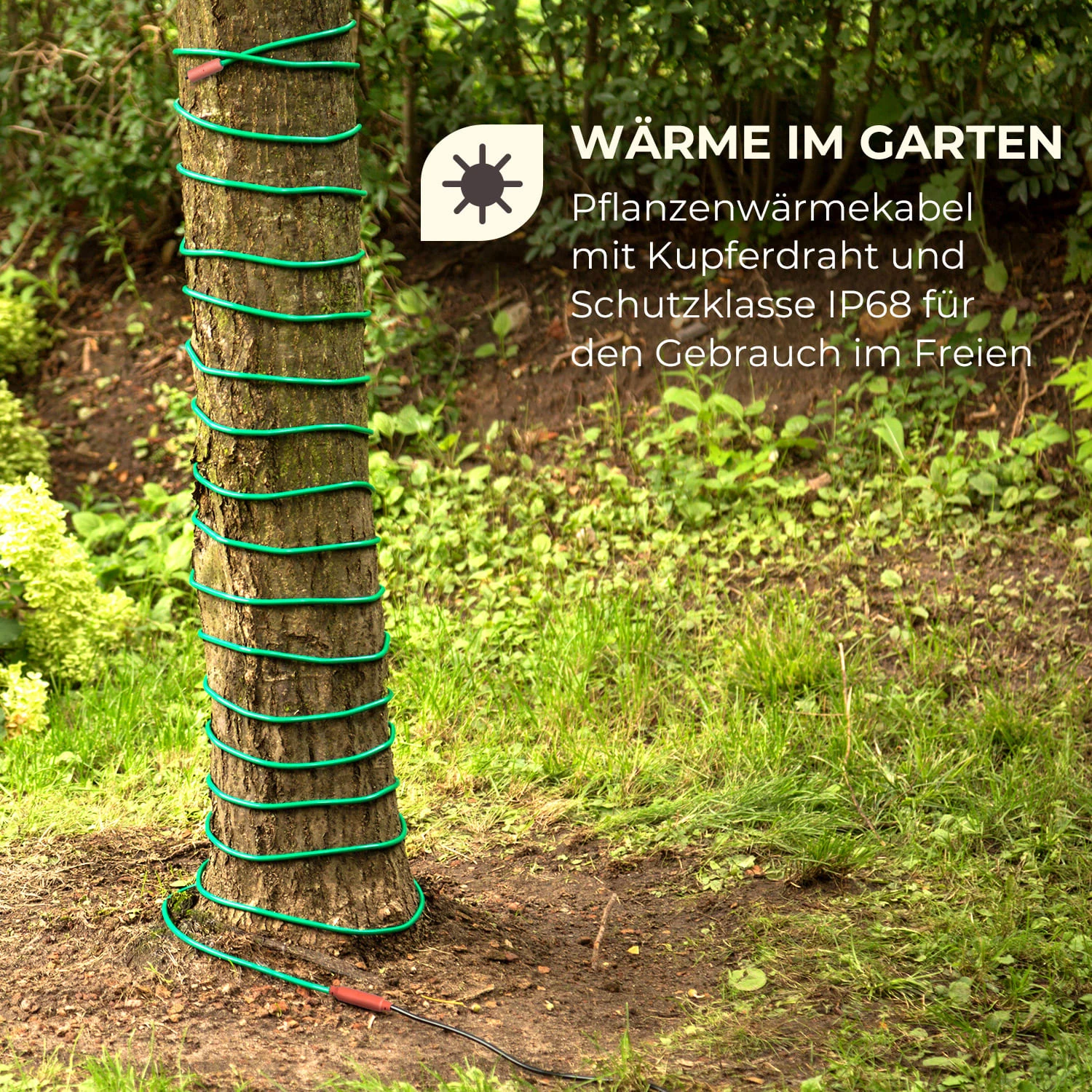 Greenwire Select 6 Pflanzenwärmekabel 6m Mit Thermostat IP68 2 Greenwire Select 6 Pflanzenwärmekabel 6m Mit Thermostat IP68 – Bild 2