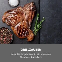 Steakreaktor Core Indoor Grillgerät Hochtemperaturgrill 2100W 800°C -Gartendekorations Geschäft 10035085 de 0007 logo