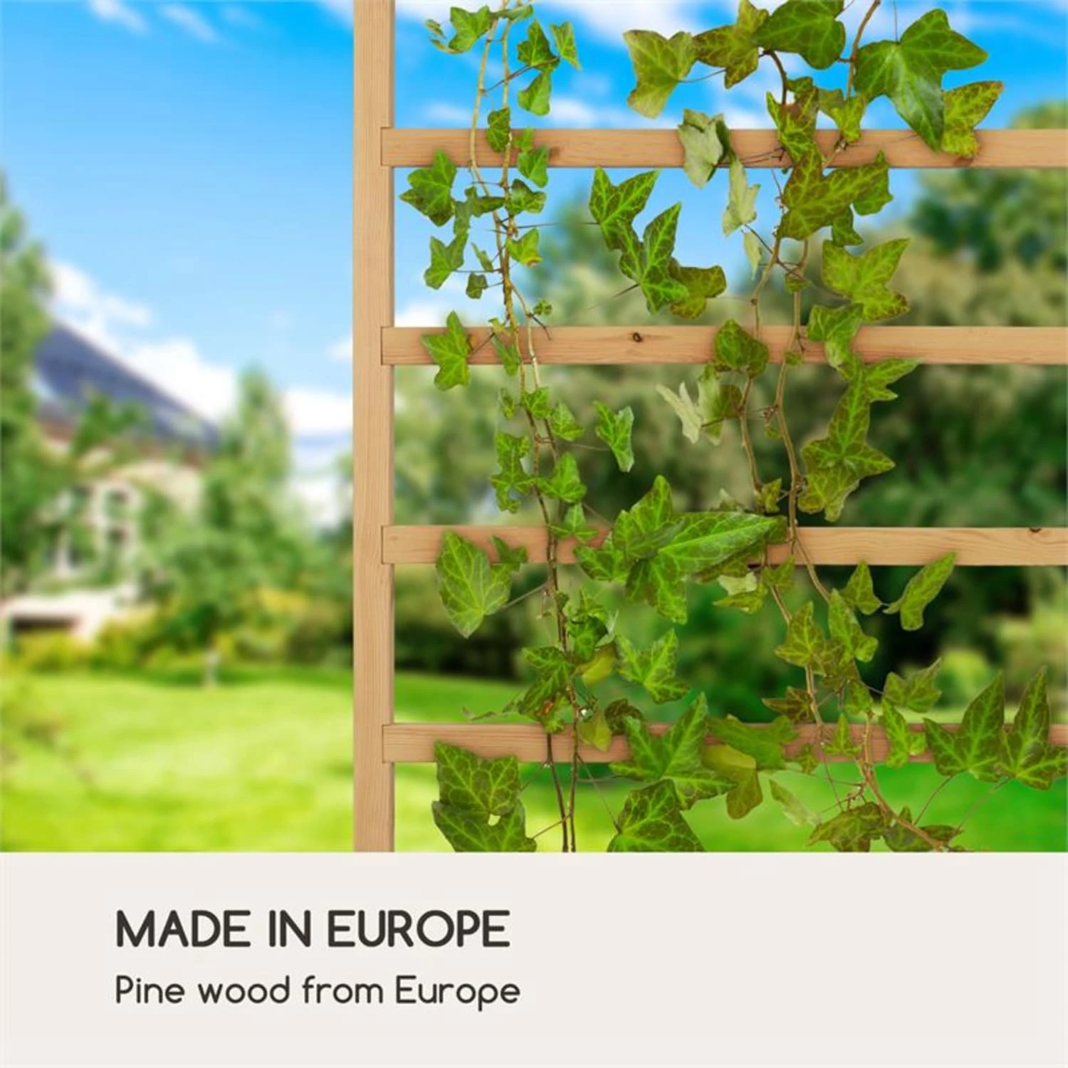 Modu Grow 50 UP Spalier Rankhilfe 50 X 151 X 3 Cm Kiefer – Bild 5