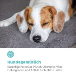 Finn Hundebett Waschbar Rutschfest Atmungsaktiv PE / Vlies Größe S -Gartendekorations Geschäft 10037524 de 0003 logo
