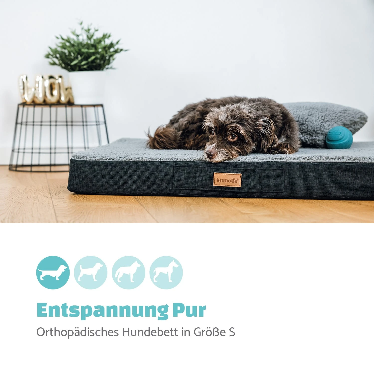 Balu Hundebett Hundekissen | Waschbar | Orthopädisch | Rutschfest | Atmungsaktiver Memory-Schaum | Größe S (72 X 8 X 50 Cm) 2 Balu Hundebett Hundekissen | Waschbar | Orthopädisch | Rutschfest | Atmungsaktiver Memory-Schaum | Größe S (72 X 8 X 50 Cm) – Bild 2