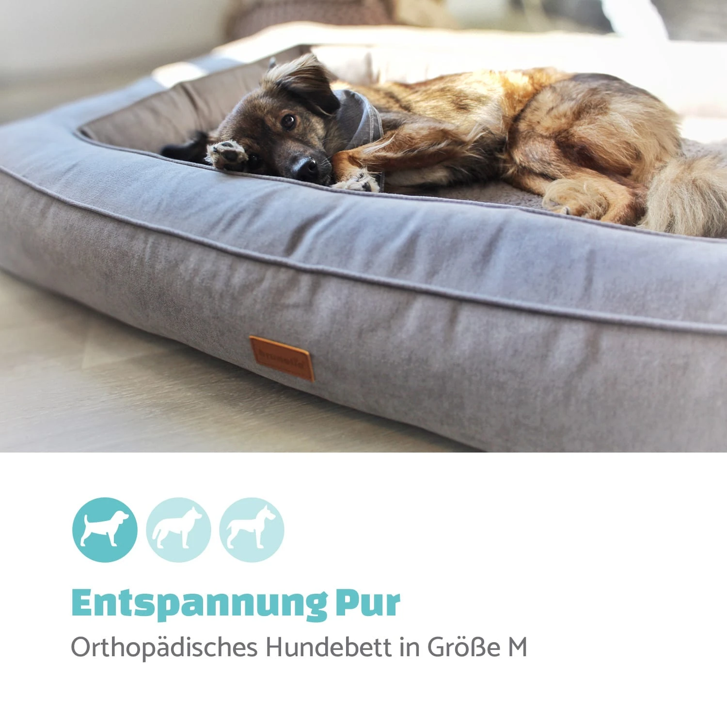 Bruno Hundebett Hundekorb | Waschbar | Orthopädisch | Rutschfest | Atmungsaktiv | Memory-Schaum | Größe M (80 X 17 X 55 Cm) 2 Bruno Hundebett Hundekorb | Waschbar | Orthopädisch | Rutschfest | Atmungsaktiv | Memory-Schaum | Größe M (80 X 17 X 55 Cm) – Bild 2