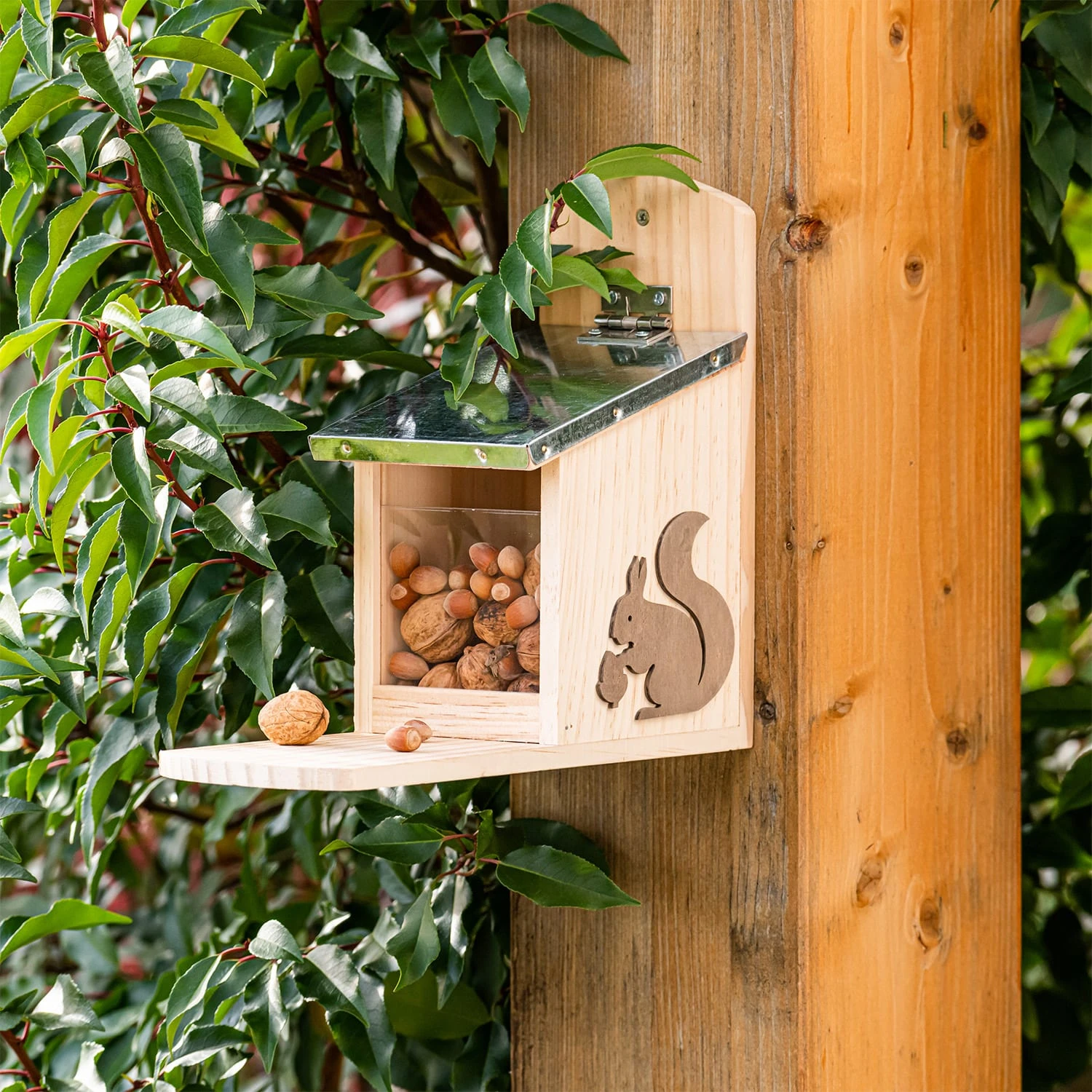 Futterhaus Für Eichhörnchen Metalldach Kiefernholz Unbehandelt 2 Futterhaus Für Eichhörnchen Metalldach Kiefernholz Unbehandelt – Bild 2