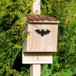 Fledermaushaus Nistkasten Überwinterungshilfe Ganzjährig Pinie -Gartendekorations Geschäft 10038036 yy 0007 logo
