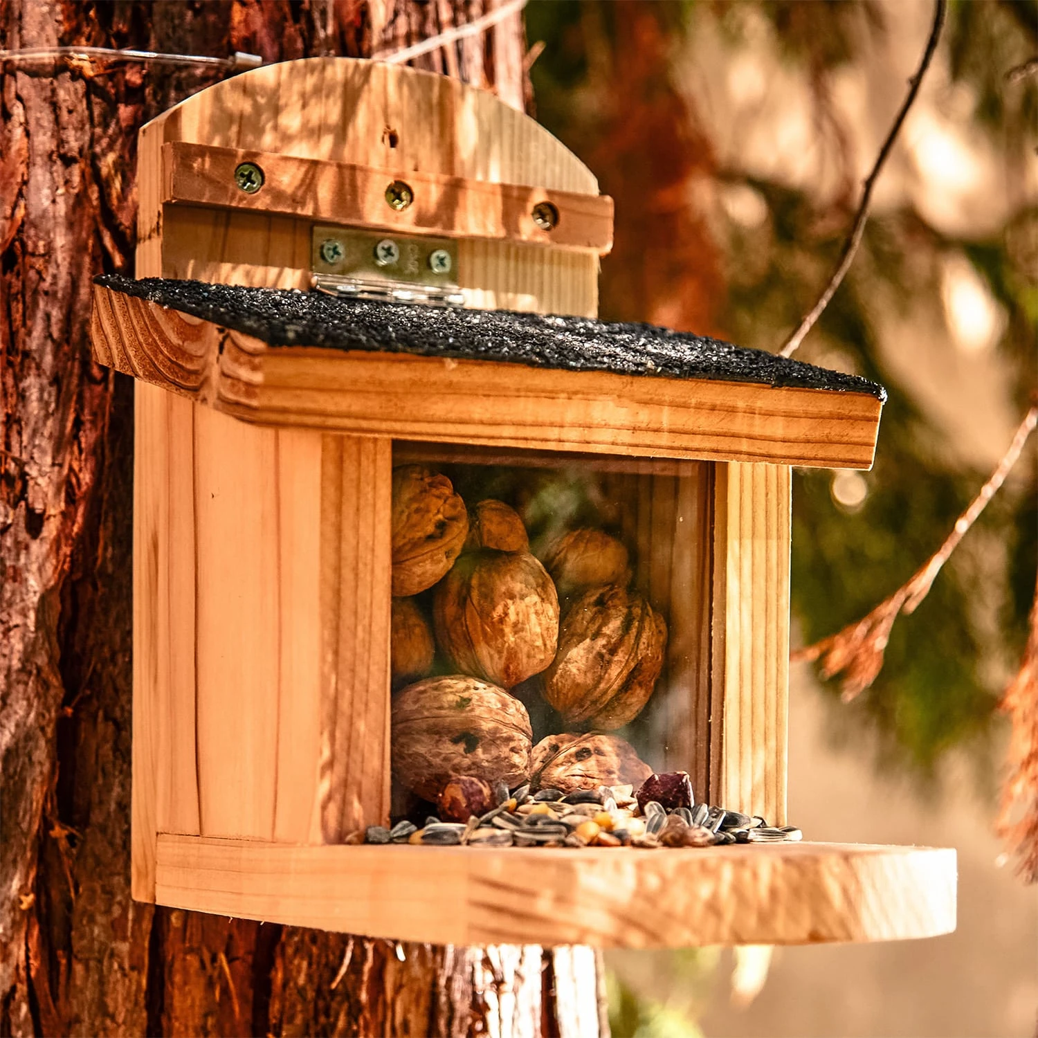 Futterhaus Für Eichhörnchen Flachdach Zedernholz Bitumen Unbehandelt 5 Futterhaus Für Eichhörnchen Flachdach Zedernholz Bitumen Unbehandelt – Bild 5