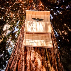 Fledermaushaus Nistkasten Überwinterungshilfe Ganzjährig Kiefer -Gartendekorations Geschäft 10038132 yy 0005 logo