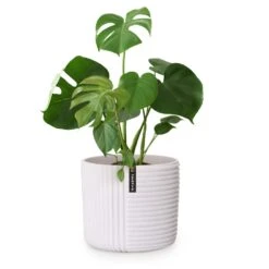 Hasselt Blumentopf Polystone Pflanzenfreundlich Handgemacht 3D-Optik