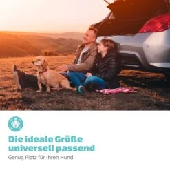 Rocky Hundeautositz Polyester Anschnallgurt Faltbar Flexibel 13 Rocky Hundeautositz Polyester Anschnallgurt Faltbar Flexibel -Gartendekorations Geschäft 10039048 de 0006 logo